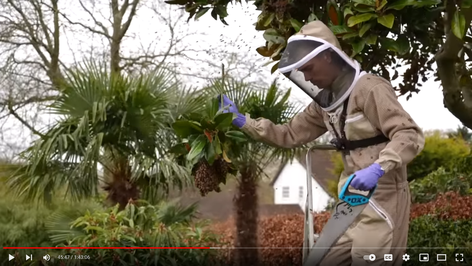 Beekeeping Video
